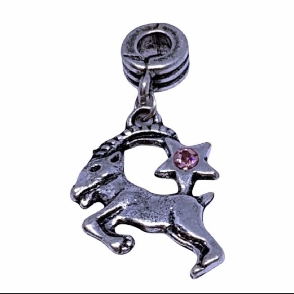 Capricorn Charm/Pendant  - Picture 1 of 4